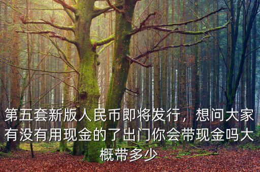 第五套新版人民幣即將發(fā)行，想問大家有沒有用現(xiàn)金的了出門你會(huì)帶現(xiàn)金嗎大概帶多少