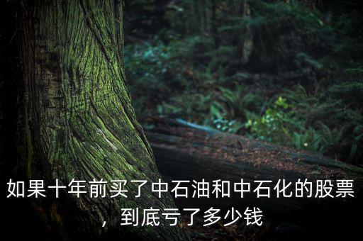 如果十年前買了中石油和中石化的股票，到底虧了多少錢