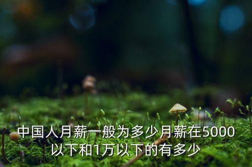 中國(guó)人月薪一般為多少月薪在5000以下和1萬以下的有多少