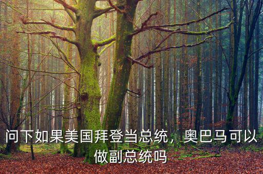 問下如果美國拜登當總統(tǒng)，奧巴馬可以做副總統(tǒng)嗎