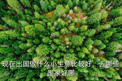 現(xiàn)在出國做什么小生意比較好，去哪些國家好哪