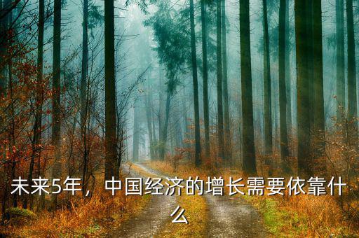 未來5年，中國經(jīng)濟(jì)的增長需要依靠什么