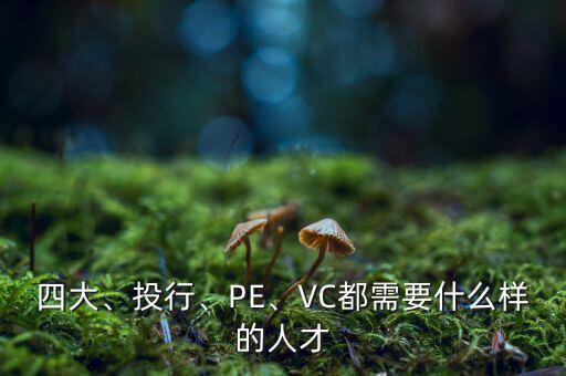 四大、投行、PE、VC都需要什么樣的人才