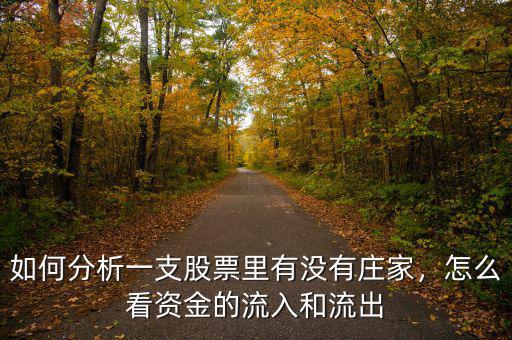 如何分析一支股票里有沒有莊家，怎么看資金的流入和流出