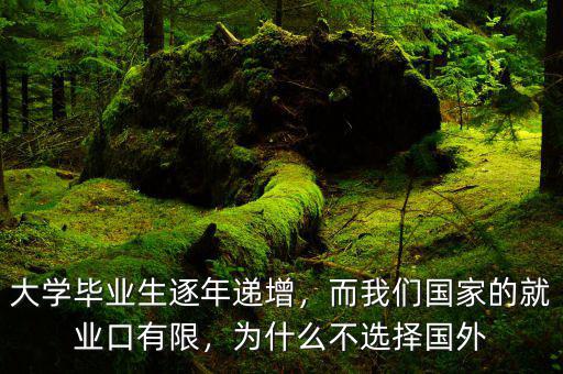 大學(xué)畢業(yè)生逐年遞增，而我們國家的就業(yè)口有限，為什么不選擇國外