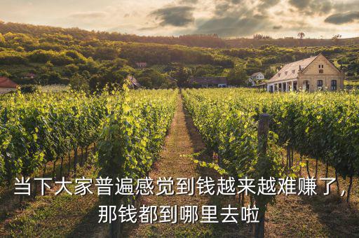 當(dāng)下大家普遍感覺到錢越來越難賺了，那錢都到哪里去啦