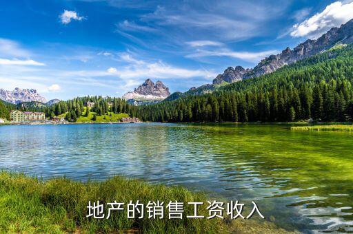 地產(chǎn)的銷售工資收入