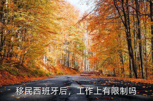 移民西班牙后，工作上有限制嗎