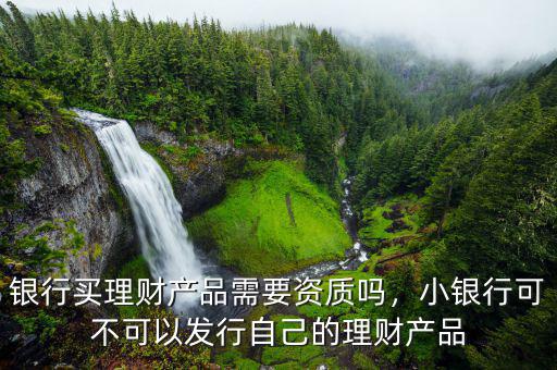 銀行買理財(cái)產(chǎn)品需要資質(zhì)嗎，小銀行可不可以發(fā)行自己的理財(cái)產(chǎn)品