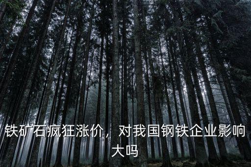 鐵礦石瘋狂漲價，對我國鋼鐵企業(yè)影響大嗎