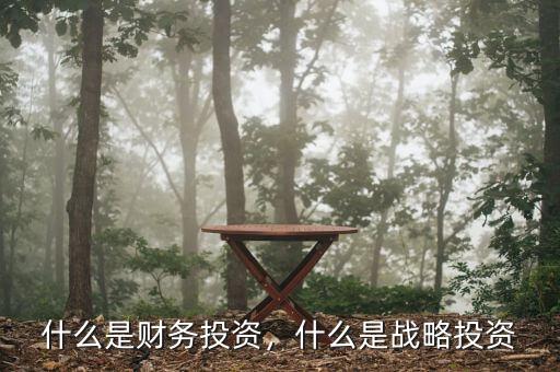 什么是財(cái)務(wù)投資，什么是戰(zhàn)略投資