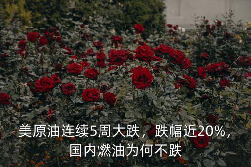 美原油連續(xù)5周大跌，跌幅近20%，國內(nèi)燃油為何不跌