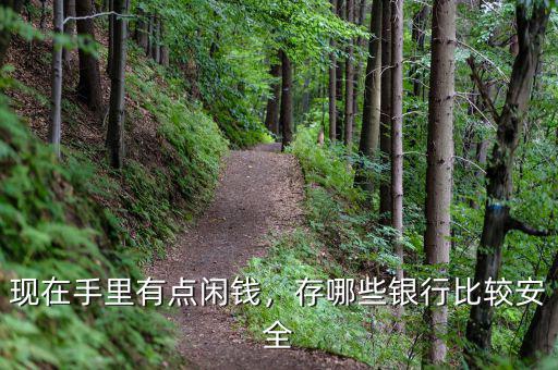 現(xiàn)在手里有點(diǎn)閑錢，存哪些銀行比較安全