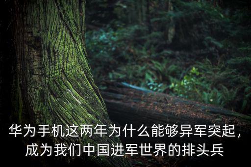 華為手機這兩年為什么能夠異軍突起，成為我們中國進軍世界的排頭兵