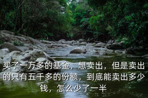 買(mǎi)了一萬(wàn)多的基金，想賣(mài)出，但是賣(mài)出的只有五千多的份額，到底能賣(mài)出多少錢(qián)，怎么少了一半