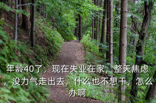 年齡40了，現(xiàn)在失業(yè)在家，整天焦慮，沒力氣走出去，什么也不想干，怎么辦啊