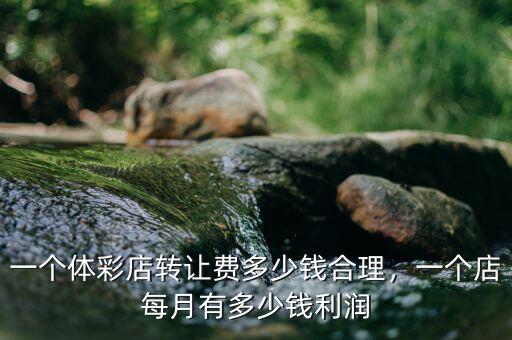 一個(gè)體彩店轉(zhuǎn)讓費(fèi)多少錢合理，一個(gè)店每月有多少錢利潤(rùn)
