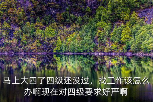 馬上大四了四級(jí)還沒過，找工作該怎么辦啊現(xiàn)在對(duì)四級(jí)要求好嚴(yán)啊