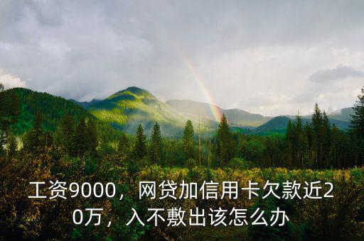 工資9000，網(wǎng)貸加信用卡欠款近20萬(wàn)，入不敷出該怎么辦