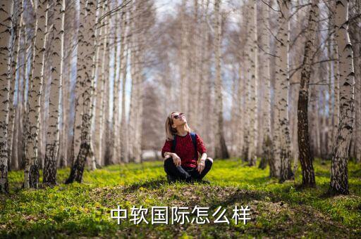 中軟國(guó)際怎么樣