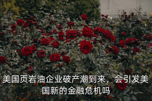 美國(guó)頁(yè)巖油企業(yè)破產(chǎn)潮到來(lái)，會(huì)引發(fā)美國(guó)新的金融危機(jī)嗎