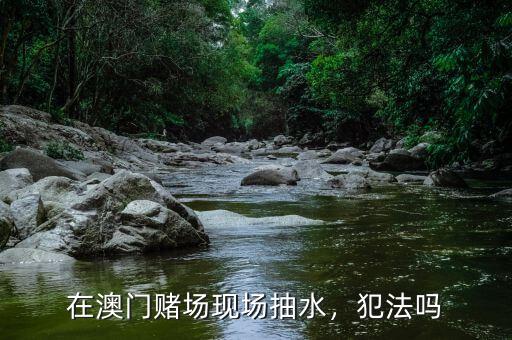 在澳門賭場現(xiàn)場抽水，犯法嗎