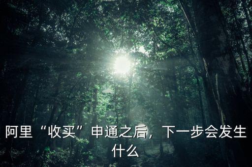阿里“收買”申通之后，下一步會發(fā)生什么