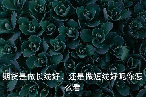 期貨怎么做長(zhǎng)線(xiàn),期貨是做長(zhǎng)線(xiàn)好