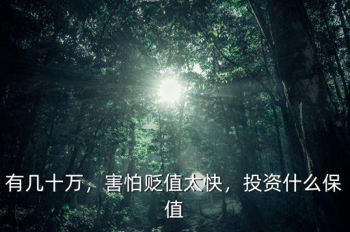 有幾十萬(wàn)，害怕貶值太快，投資什么保值