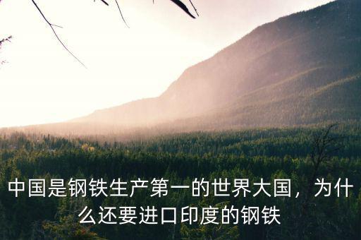中國(guó)是鋼鐵生產(chǎn)第一的世界大國(guó)，為什么還要進(jìn)口印度的鋼鐵