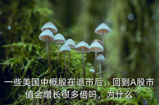 一些美國(guó)中概股在退市后，回到A股市值會(huì)增長(zhǎng)很多倍嗎，為什么
