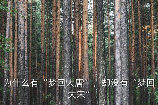 為什么有“夢回大唐”，卻沒有“夢回大宋”