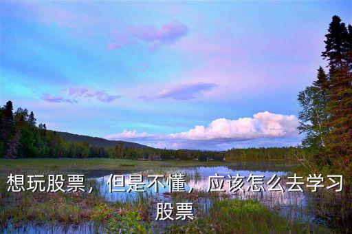想玩股票，但是不懂，應(yīng)該怎么去學(xué)習(xí)股票