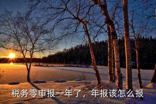 稅務(wù)零申報一年了，年報該怎么報