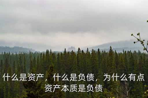 一類(lèi)資產(chǎn)是什么資產(chǎn),為什么有點(diǎn)資產(chǎn)本質(zhì)是負(fù)債