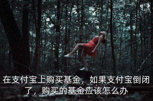 在支付寶上購買基金，如果支付寶倒閉了，購買的基金應(yīng)該怎么辦