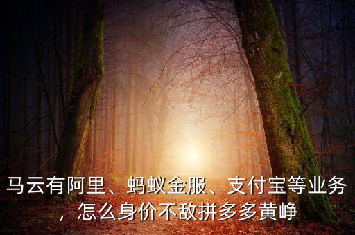 馬云有阿里、螞蟻金服、支付寶等業(yè)務(wù)，怎么身價(jià)不敵拼多多黃崢