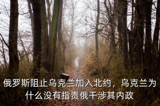 俄羅斯阻止烏克蘭加入北約，烏克蘭為什么沒有指責(zé)俄干涉其內(nèi)政
