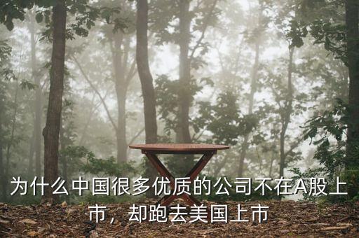 為什么中國很多優(yōu)質(zhì)的公司不在A股上市，卻跑去美國上市