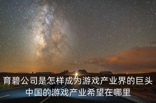 中國的游戲公司怎么成立,如何注冊網絡游戲公司