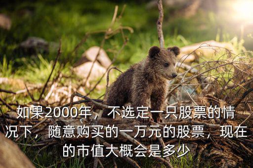 如果2000年，不選定一只股票的情況下，隨意購(gòu)買的一萬(wàn)元的股票，現(xiàn)在的市值大概會(huì)是多少