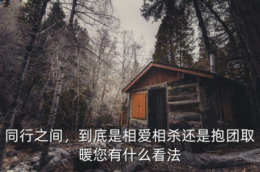 同行之間，到底是相愛(ài)相殺還是抱團(tuán)取暖您有什么看法