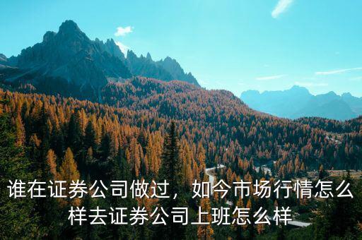 誰在證券公司做過，如今市場(chǎng)行情怎么樣去證券公司上班怎么樣