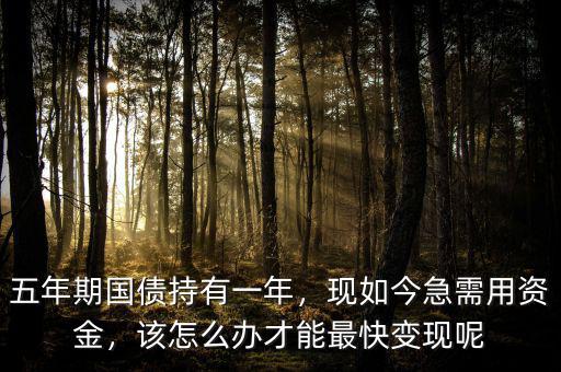 五年期國(guó)債持有一年，現(xiàn)如今急需用資金，該怎么辦才能最快變現(xiàn)呢