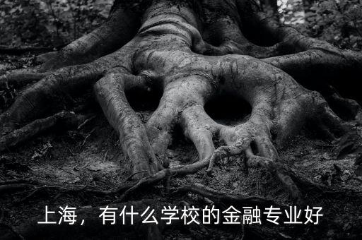上海，有什么學(xué)校的金融專業(yè)好