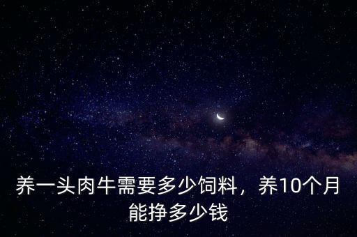 養(yǎng)一頭肉牛需要多少飼料，養(yǎng)10個月能掙多少錢