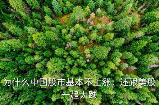 為什么中國(guó)股市基本不上漲，還跟美股一起大跌