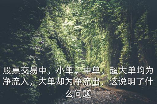 股票交易中，小單、中單、超大單均為凈流入，大單卻為凈流出，這說明了什么問題
