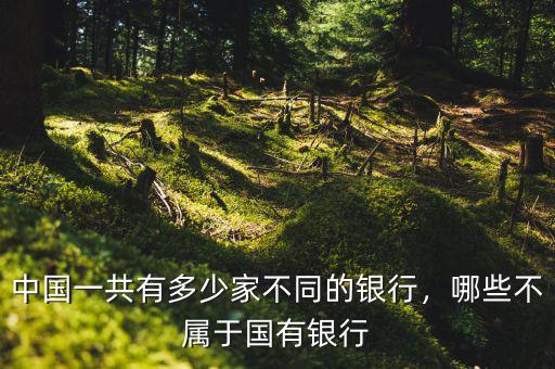 中國(guó)一共有多少家不同的銀行，哪些不屬于國(guó)有銀行