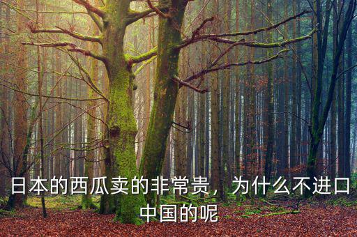 日本的西瓜賣的非常貴，為什么不進口中國的呢